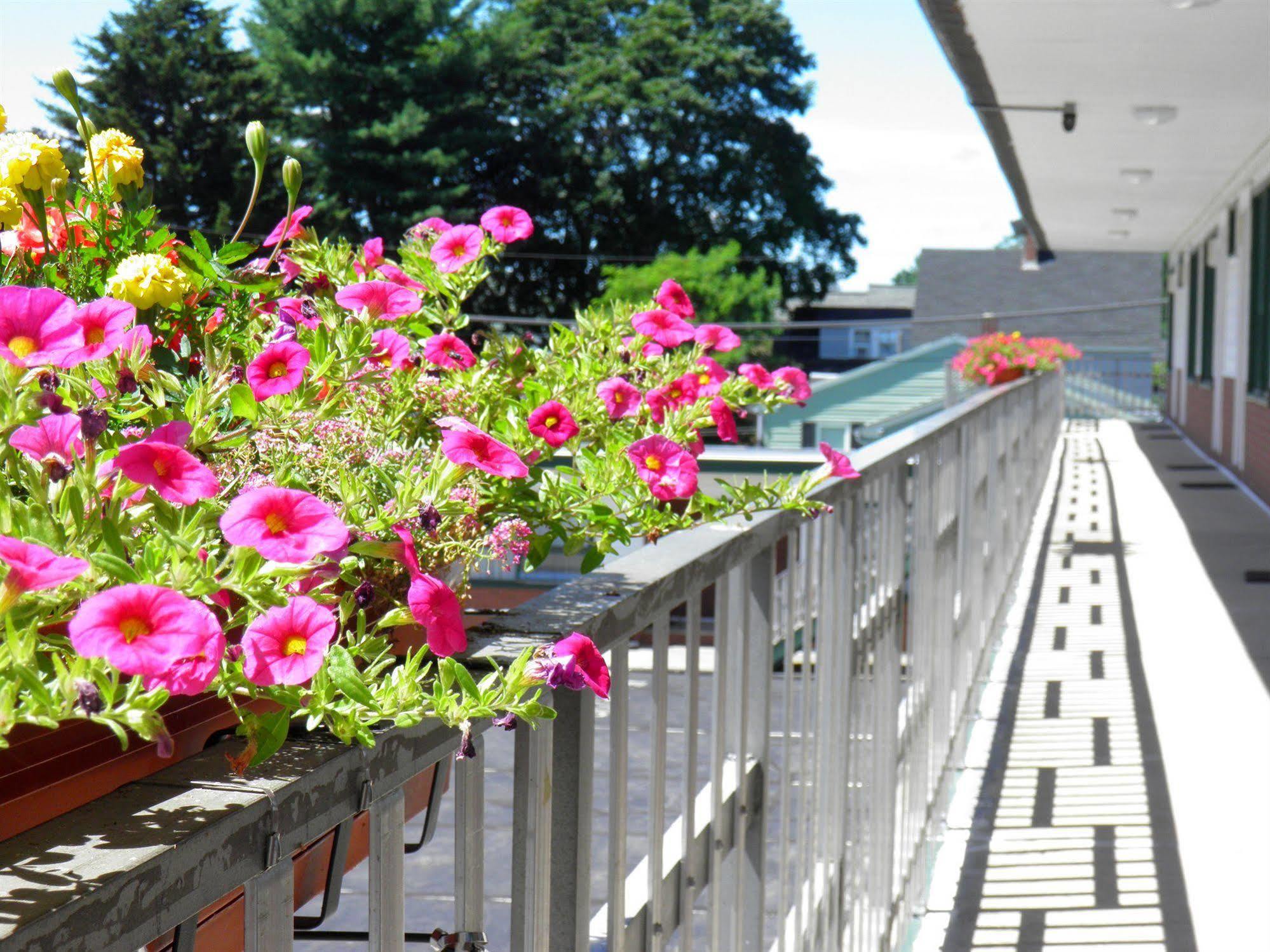 Travelers Inn Brunswick Dış mekan fotoğraf